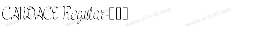 CANDACE Regular字体转换